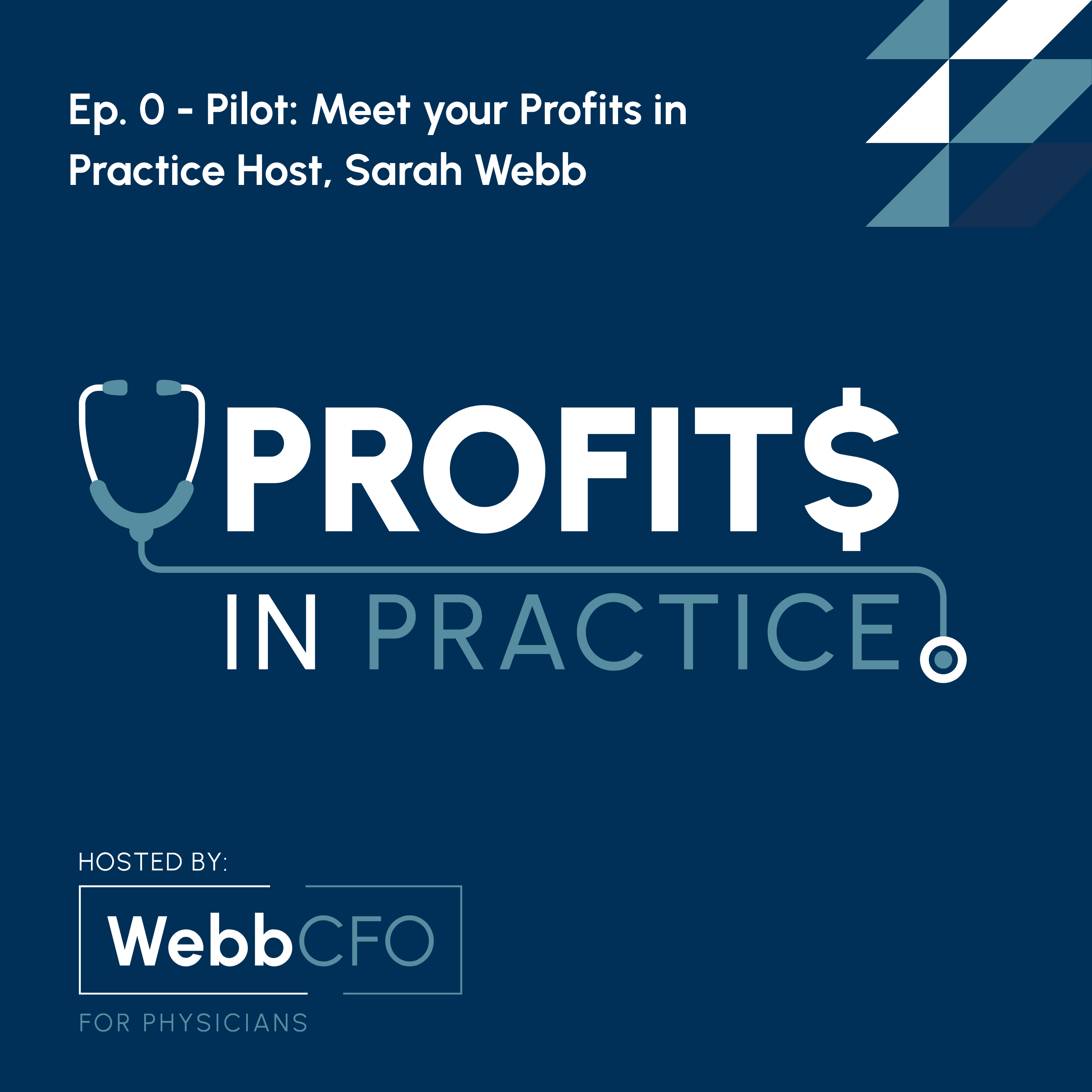 Profits in Practice