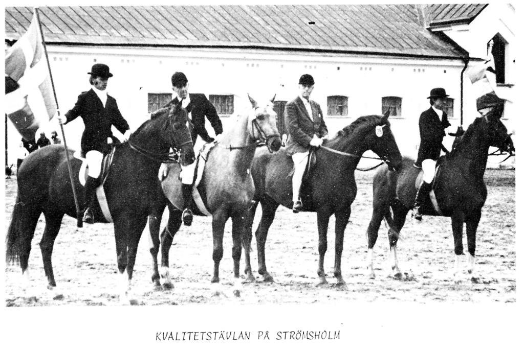 SWB Podden