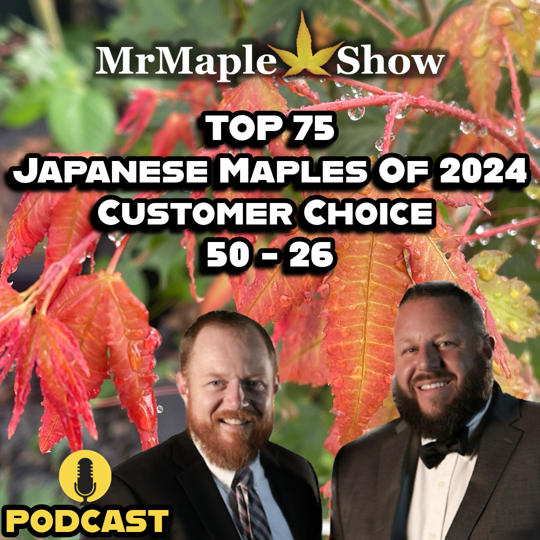 MrMaple Show
