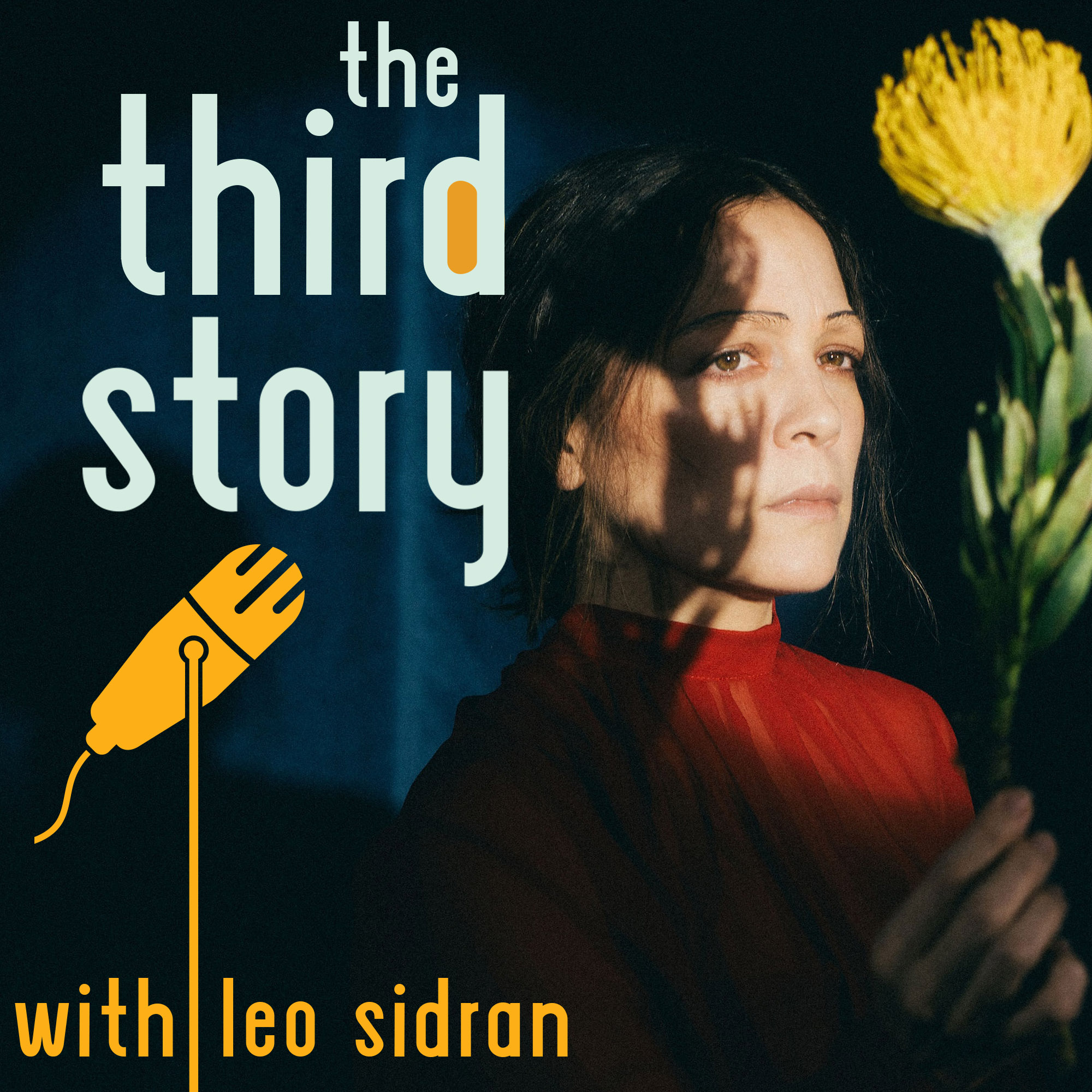 The Third Story with Leo Sidran