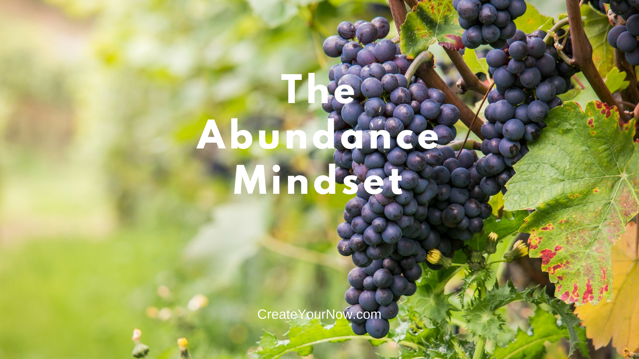 849 The Abundance Mindset