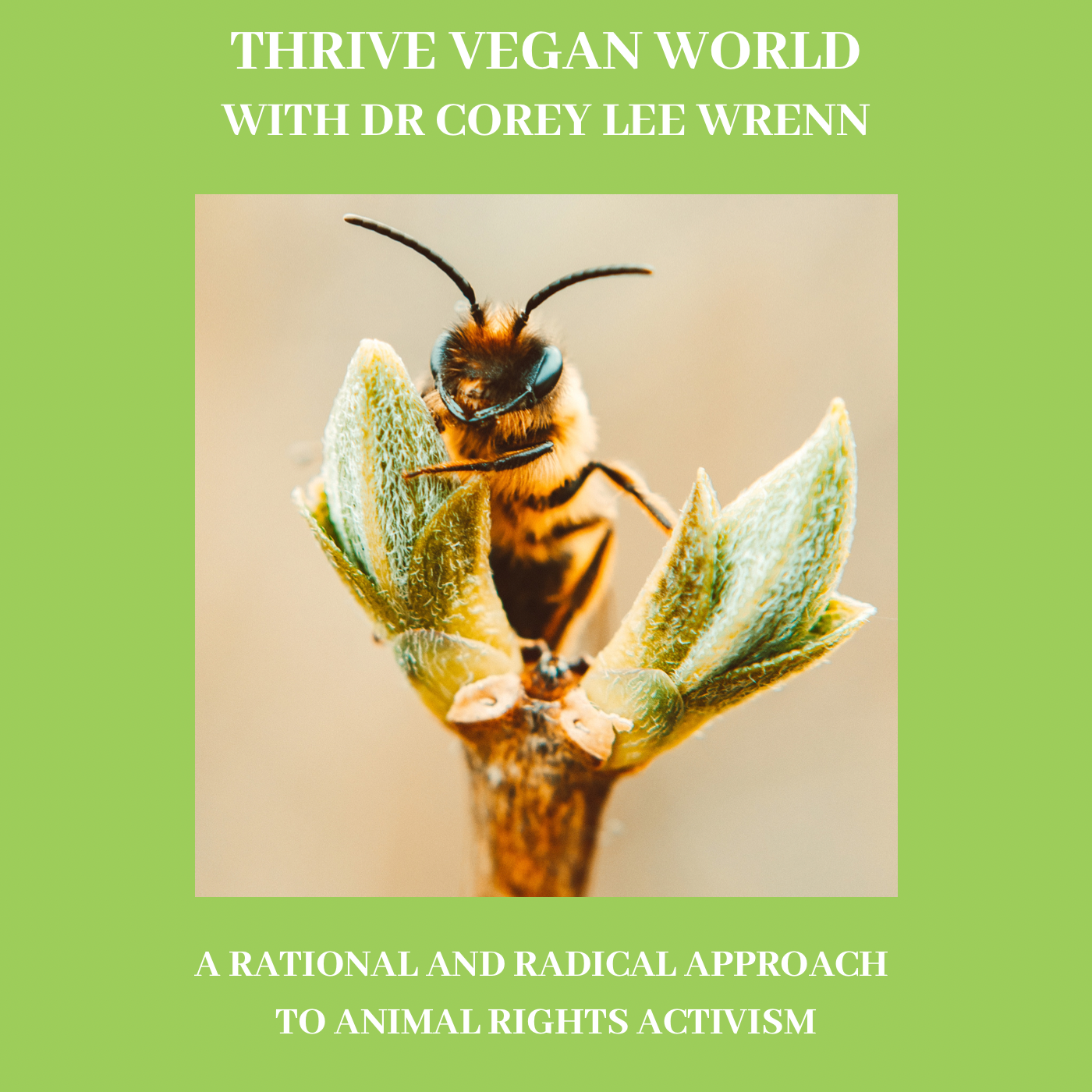 With Dr Corey Lee Wrenn -  A RATIONAL AND RADICAL APPROACH TO ANIMAL RIGHTS ACTIVISM - Episode 37