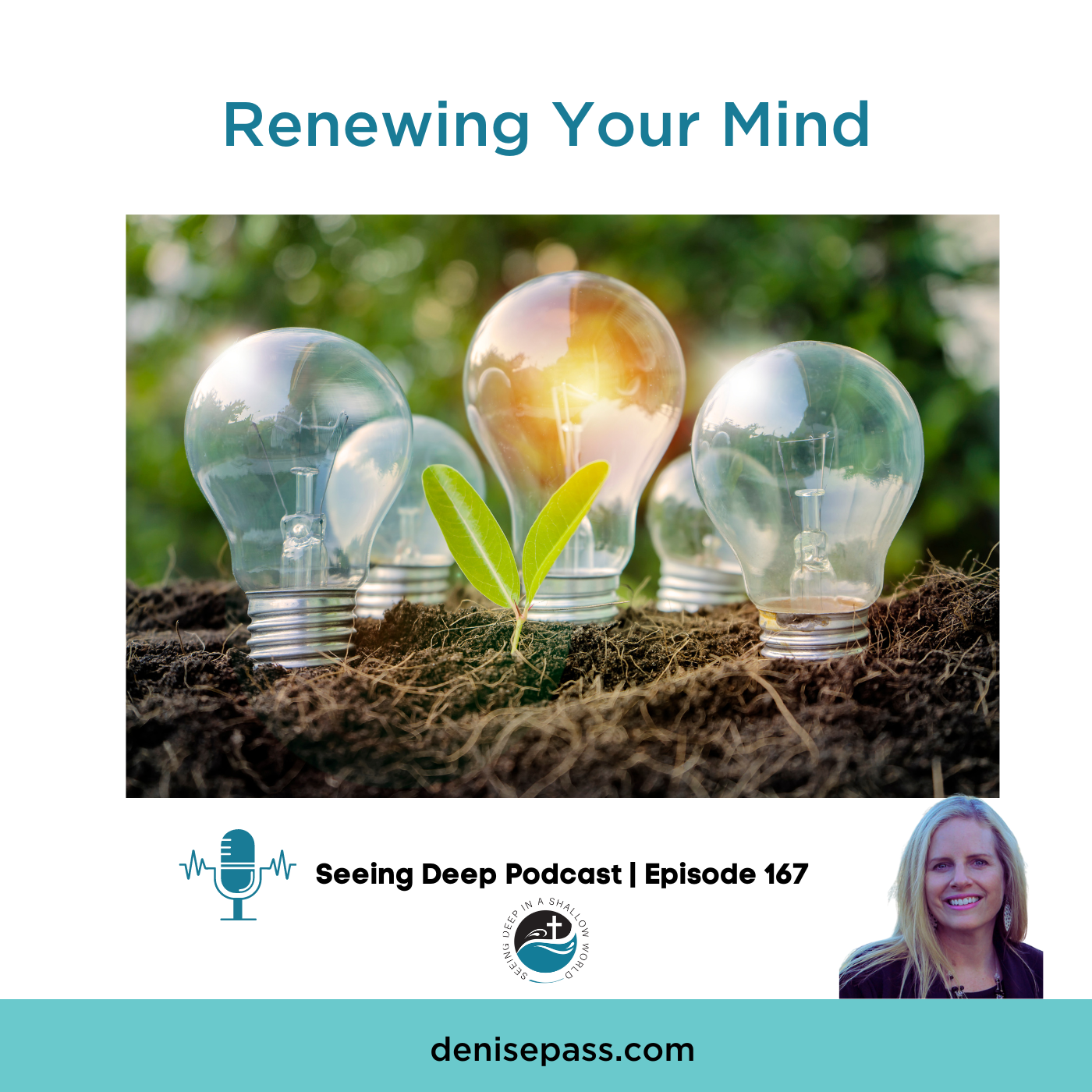 SD #167 Renewing Your Mind