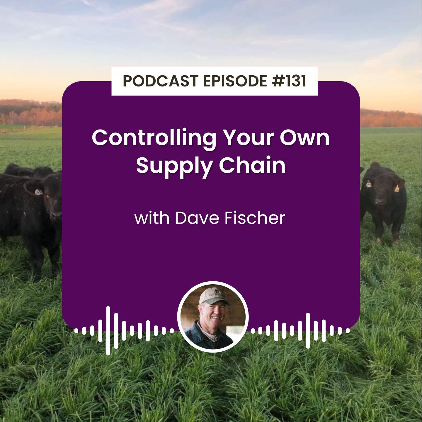 cover of episode Episode 131: Controlling Your Own Supply Chain with Dave Fischer