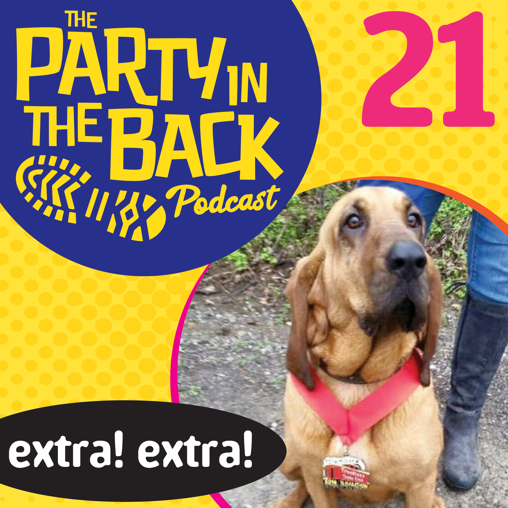 The Party in the Back
