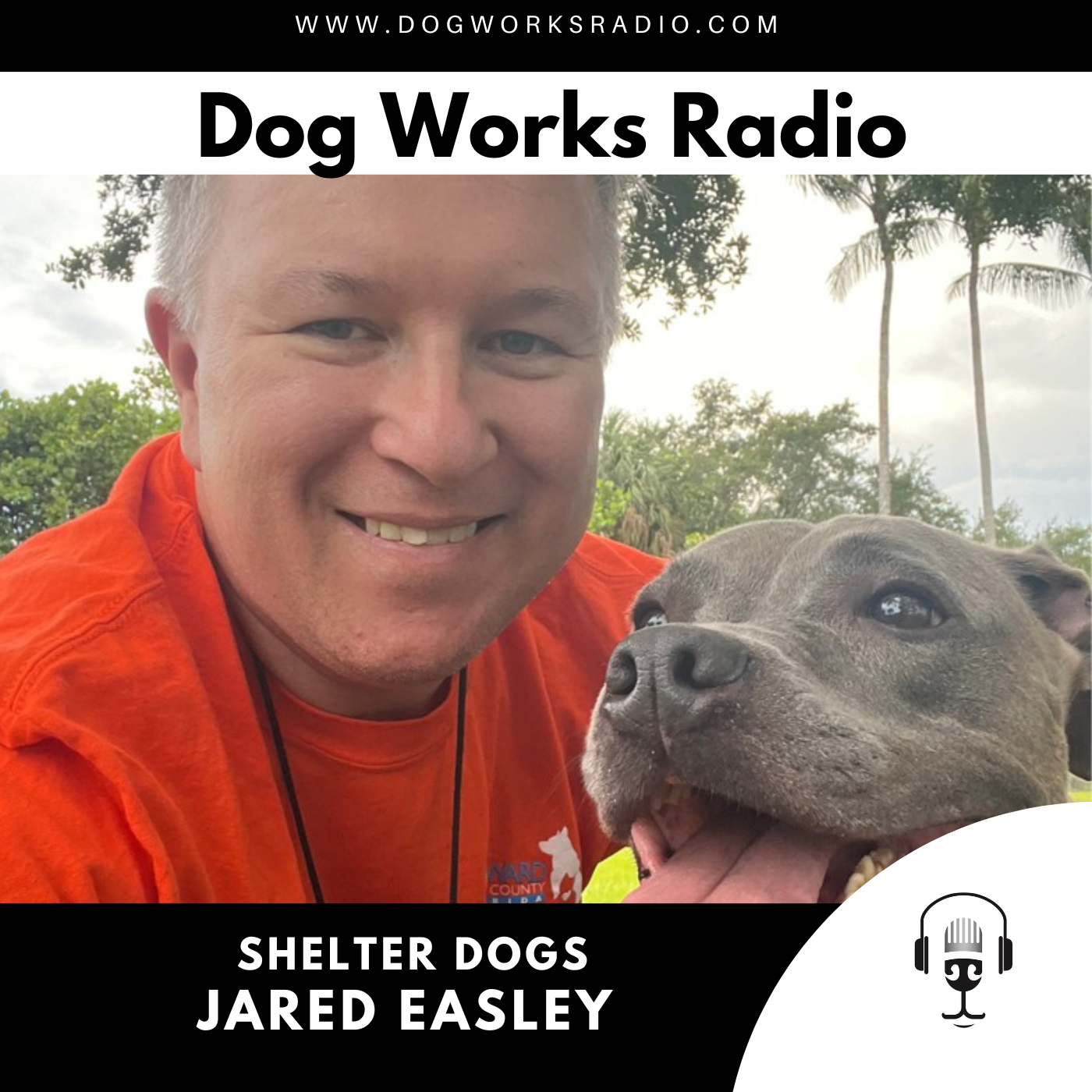 Shelter Dogs with Jared Easley