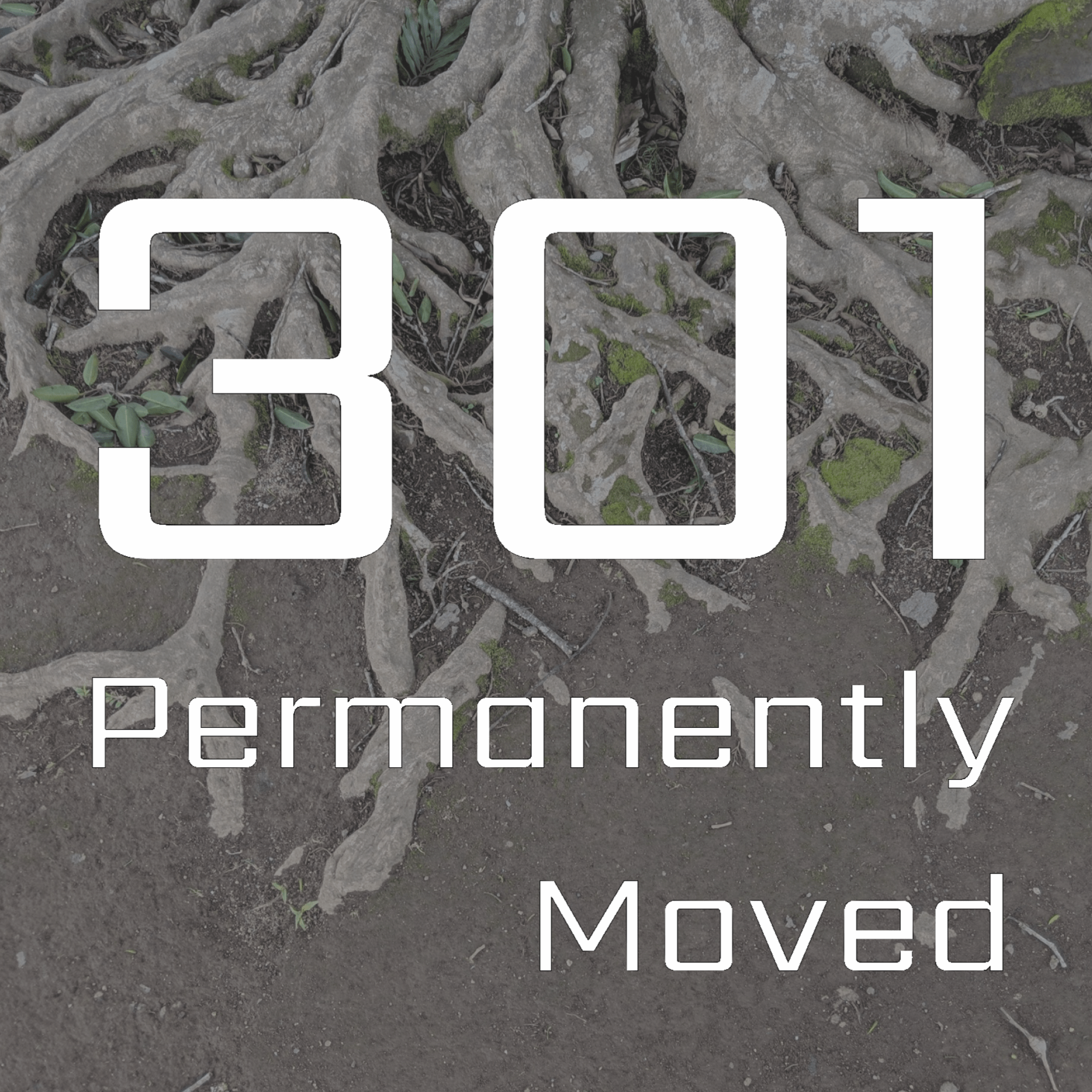 Permanently Moved