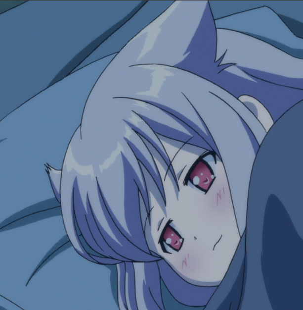 Anime Fans Against Anime