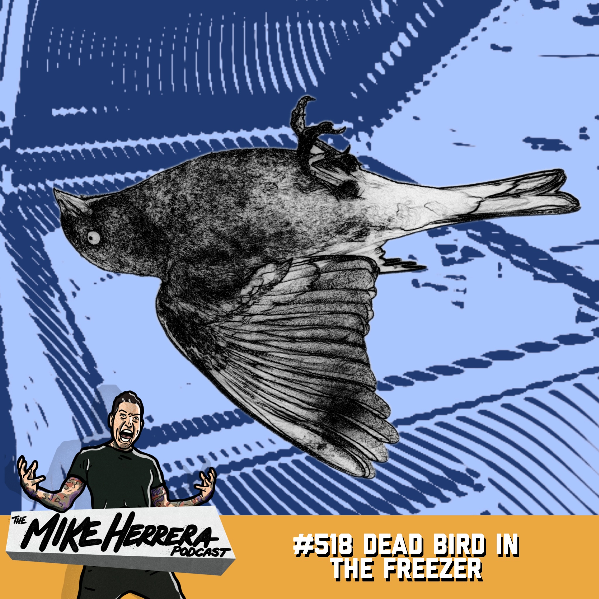 The Mike Herrera Podcast