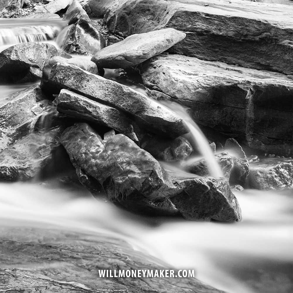 WM-510: How to Become More Curious in Photography