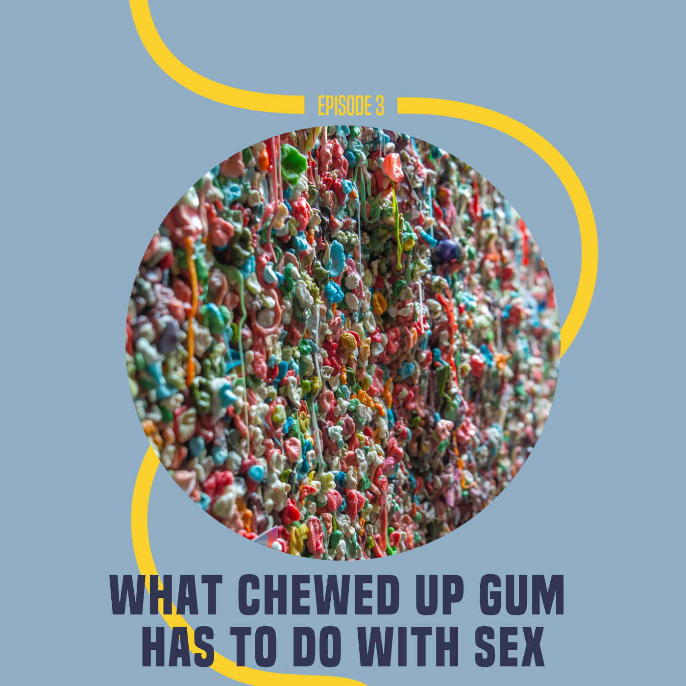3: What Chewed Up Gum Has To Do With Sex