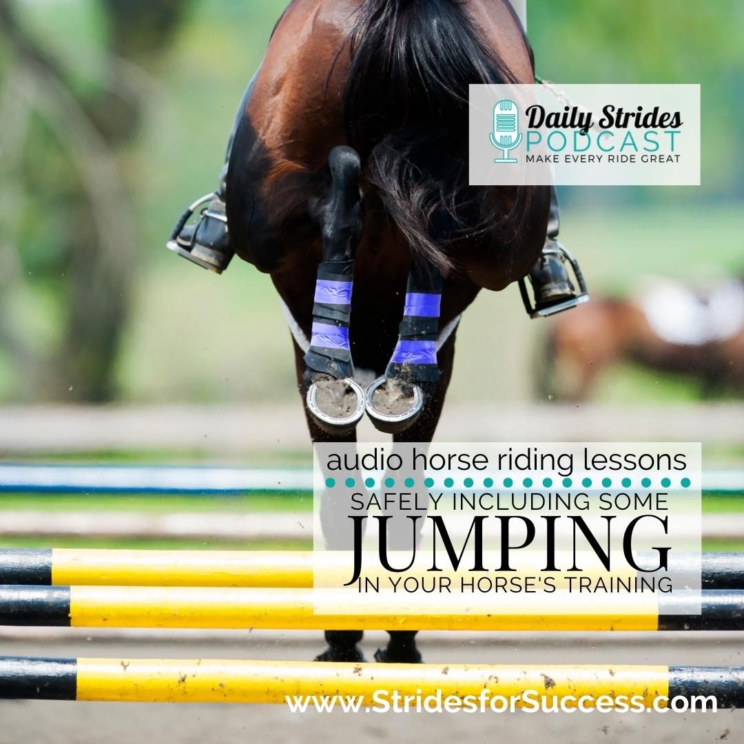 Safely Including Jumping in Your Horse's Training