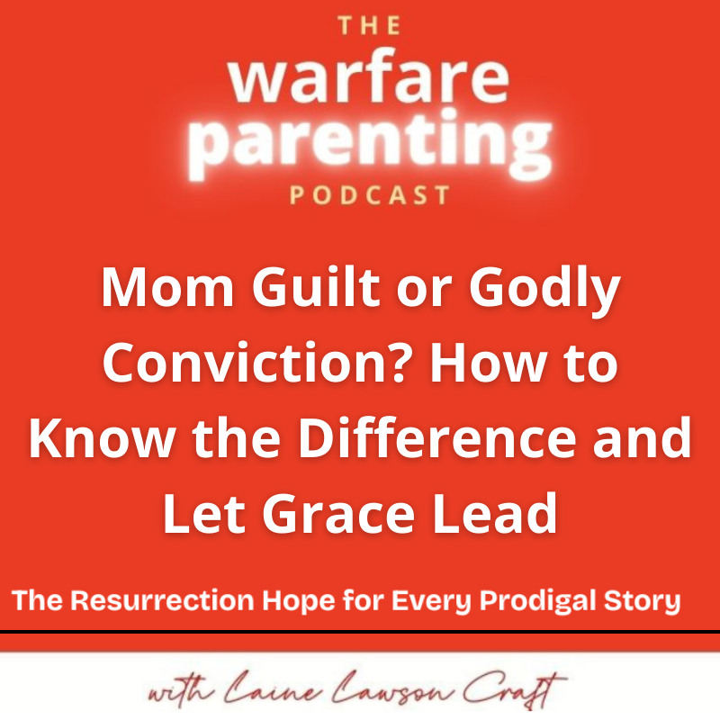 Warfare Parenting: Faith-driven strategies for struggling parents of teens and adult children