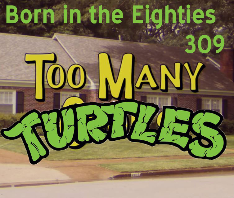 Born in the Eighties 309: Too Many Turtles