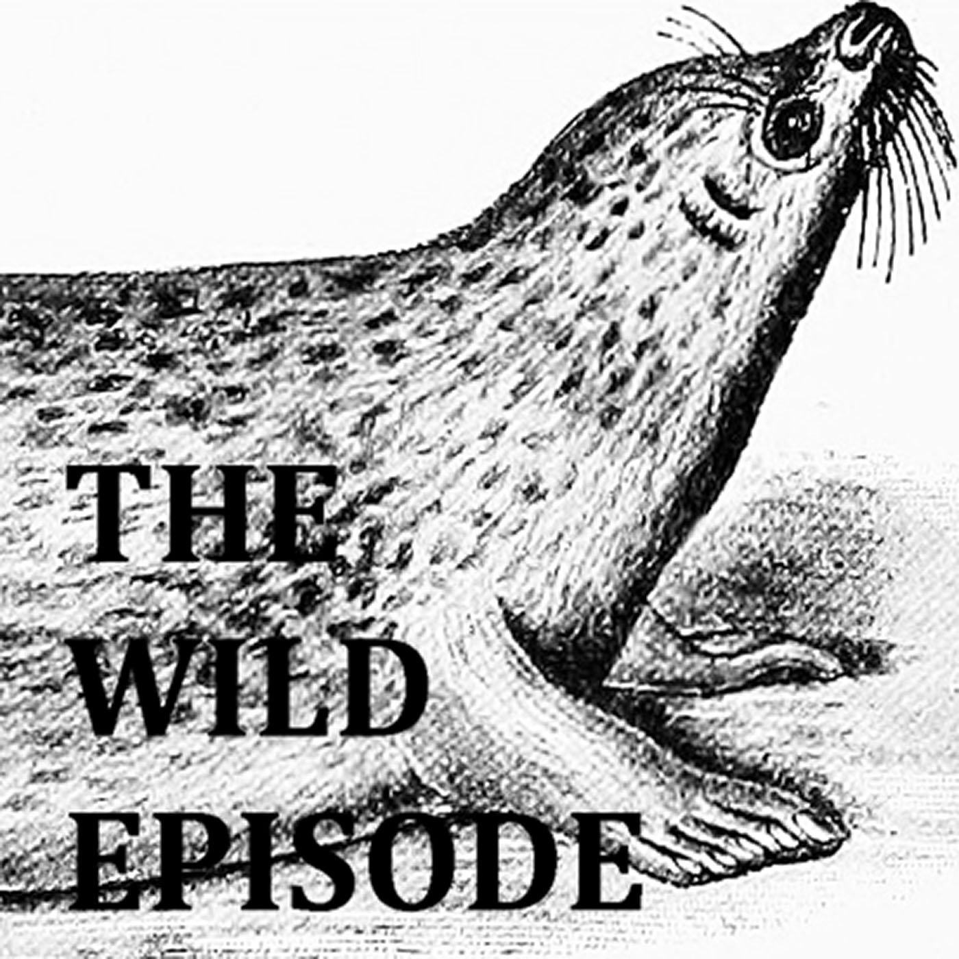 The Wild Episode