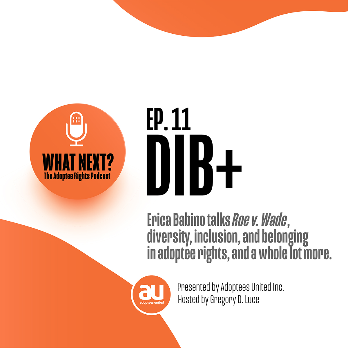 Episode 11: DIB+