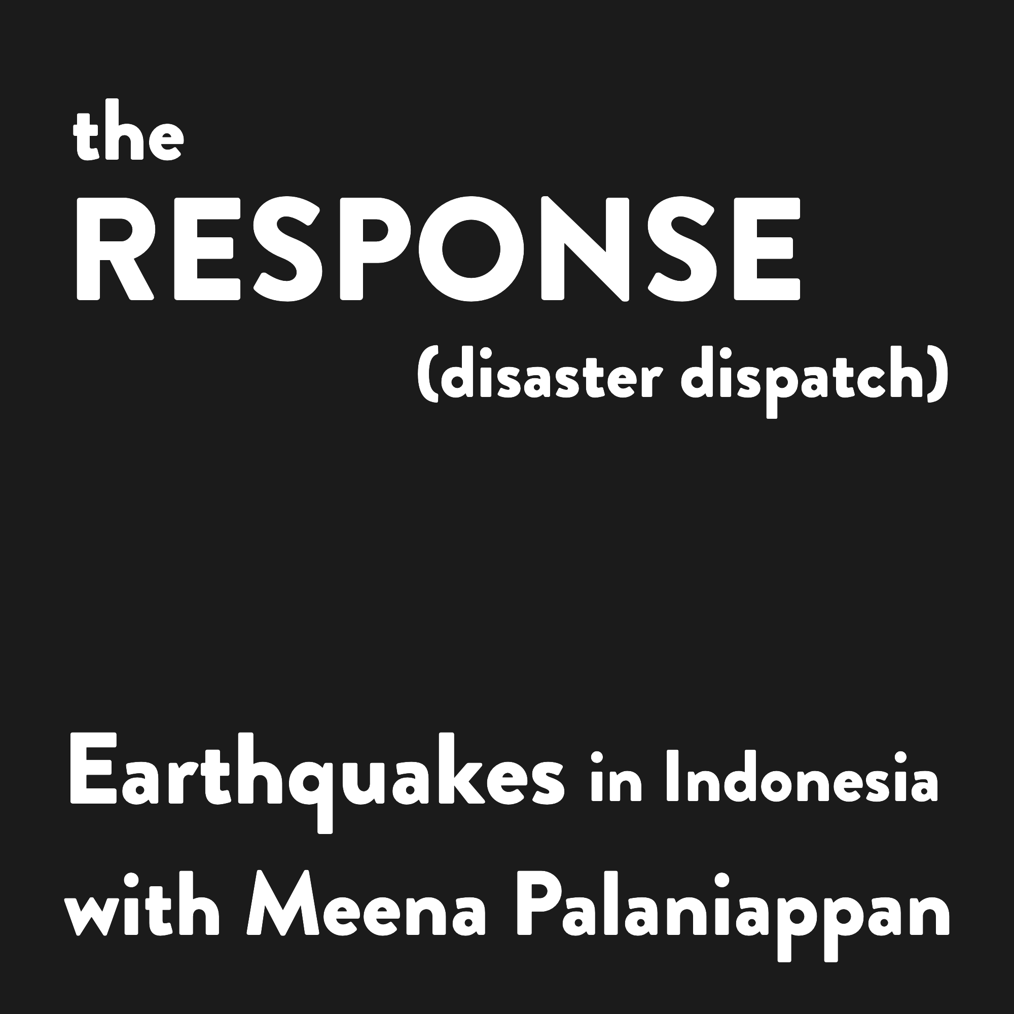 Disaster Dispatch: Earthquakes in Indonesia with Meena Palaniappan
