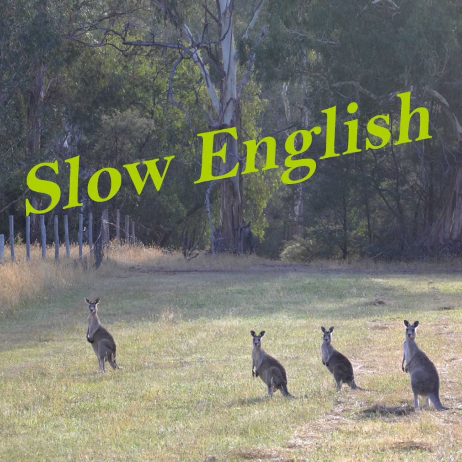 slowenglish's podcast