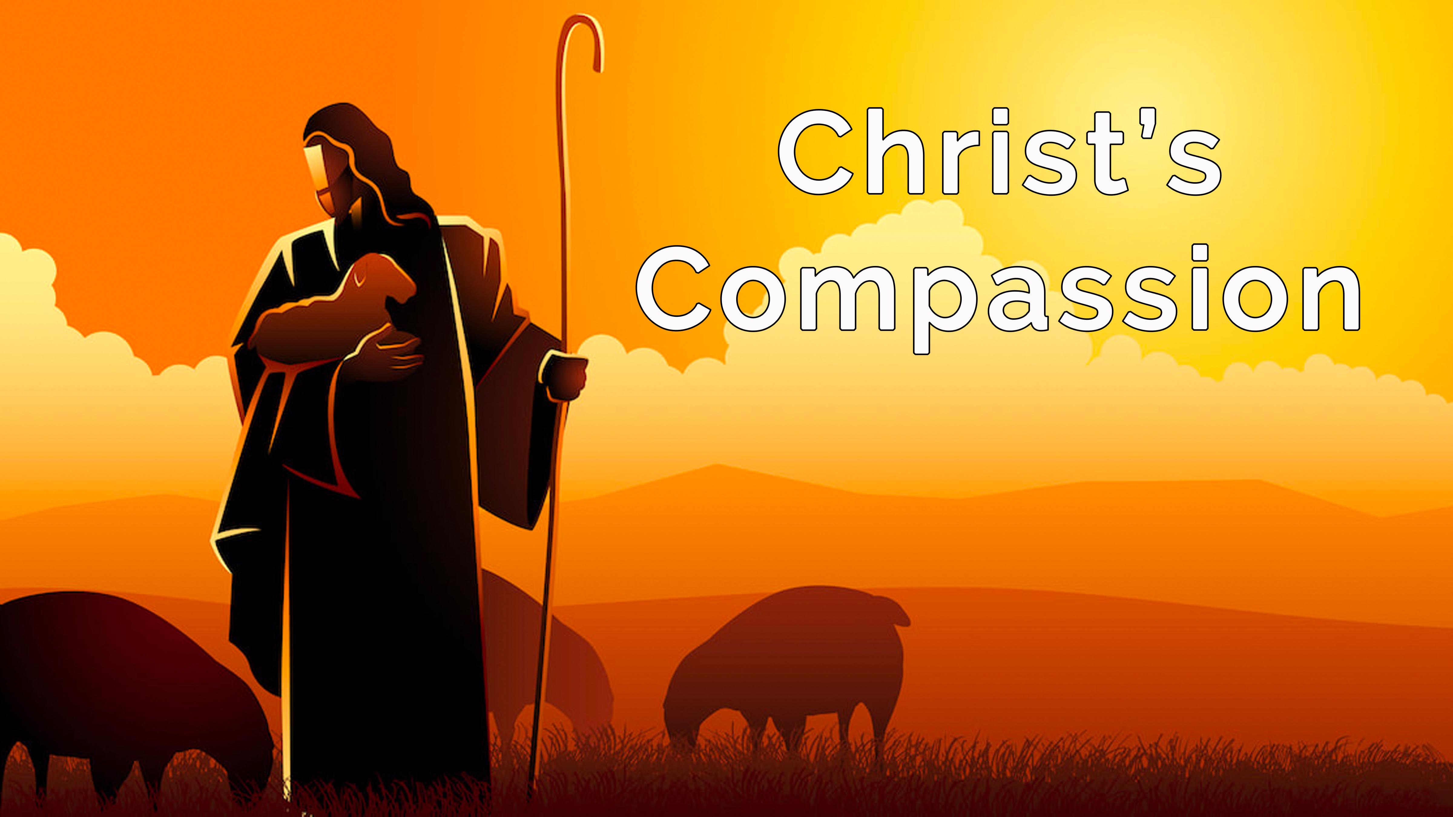 Christ's Compassion