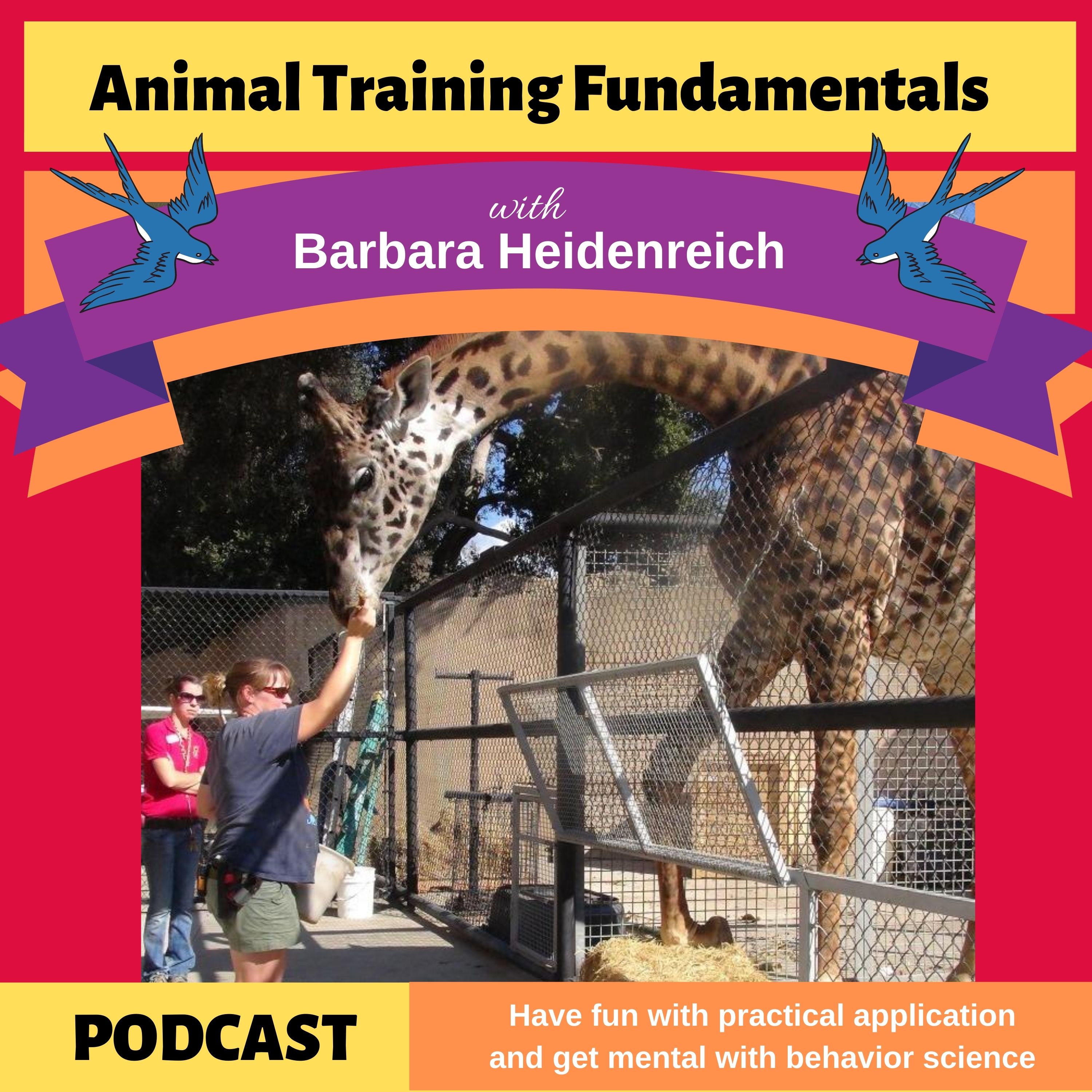 Animal Training Fundamentals with Barbara Heidenreich