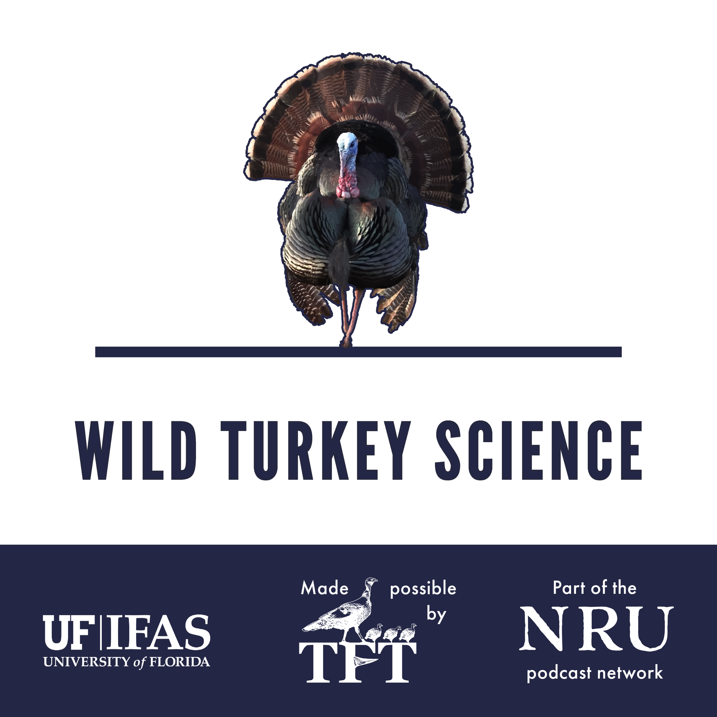 NEW Online Wild Turkey Training | Wild Turkey Science #502 NEW Online Wild Turkey Training | Wild Turkey Science #502