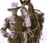 A TRIBUTE TO THE WALER: AUSTRALIA'S GREATEST HORSE