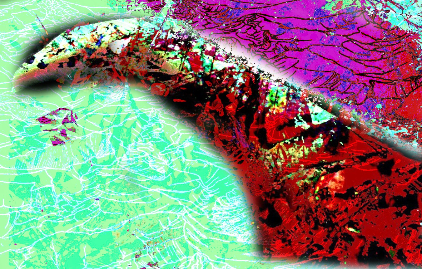 Rivers of the Mind