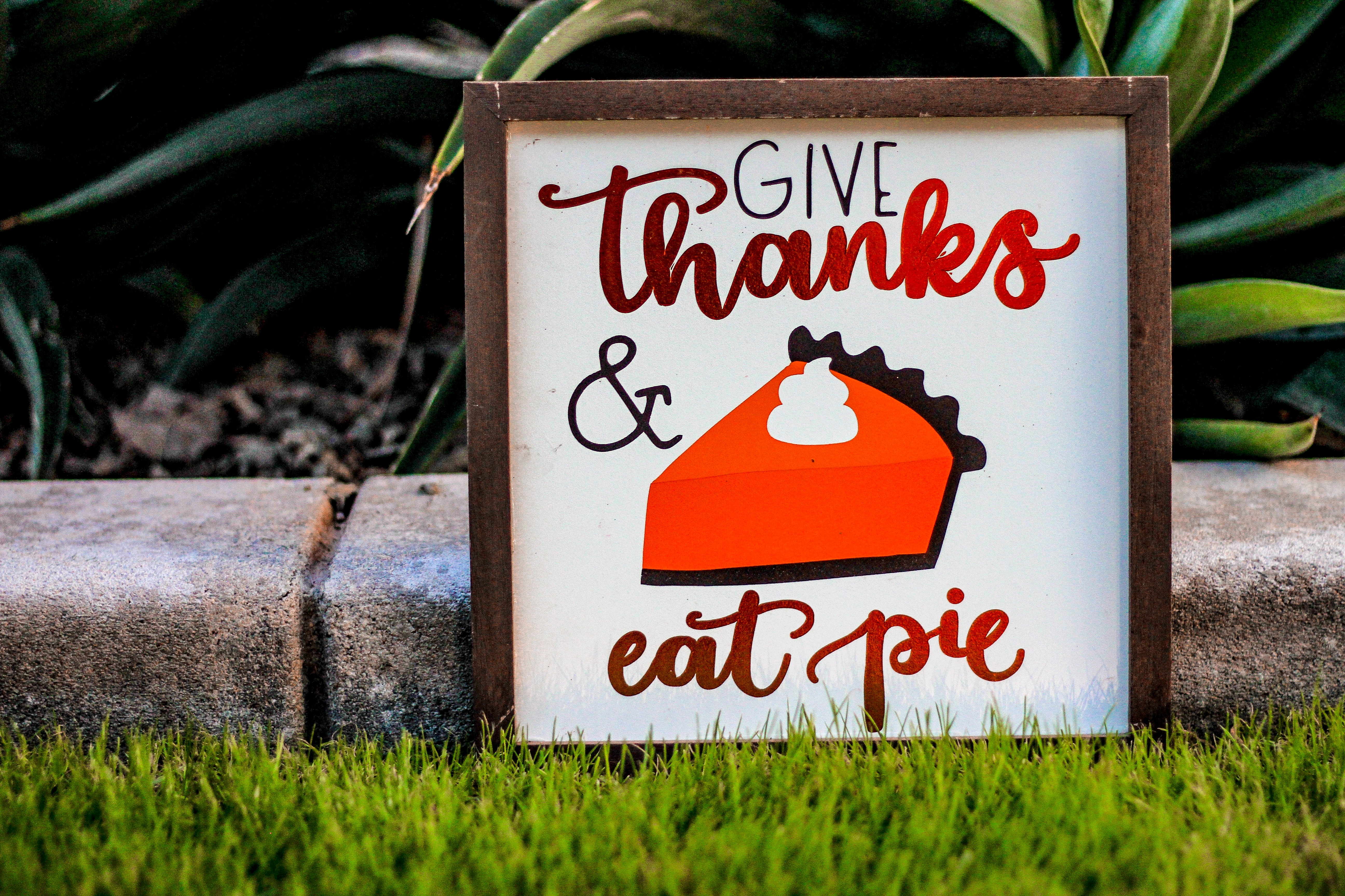 Happy Thanksgiving!