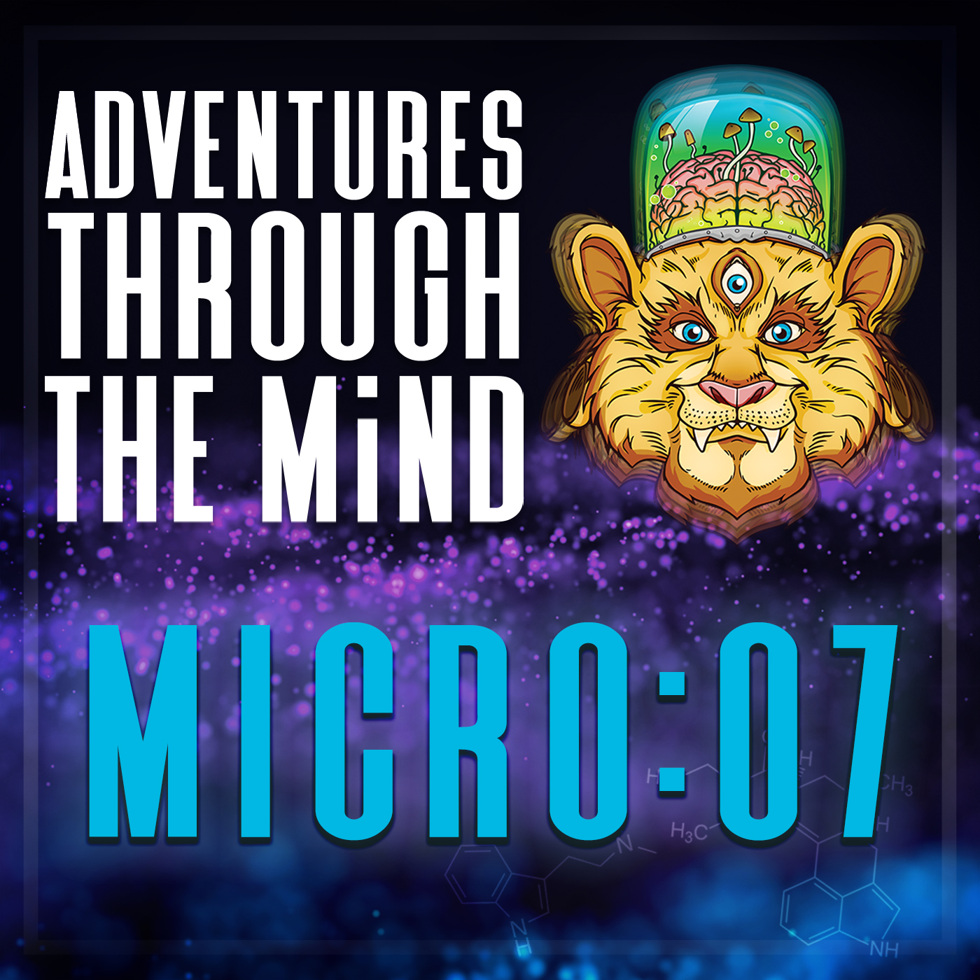 Adventures Through The Mind