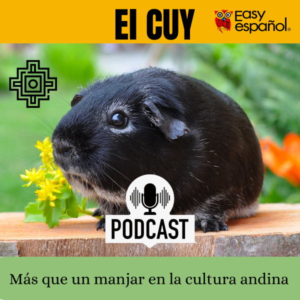 Spanish On the Go! - Improve your listening comprehension skills with our authentic podcasts