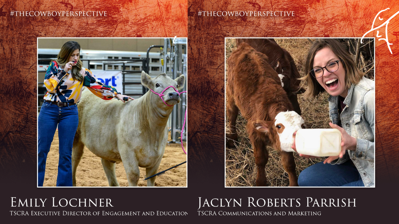 The Cowboy Perspective an exploration of grit, servant leadership, and business philosophy with high performers!