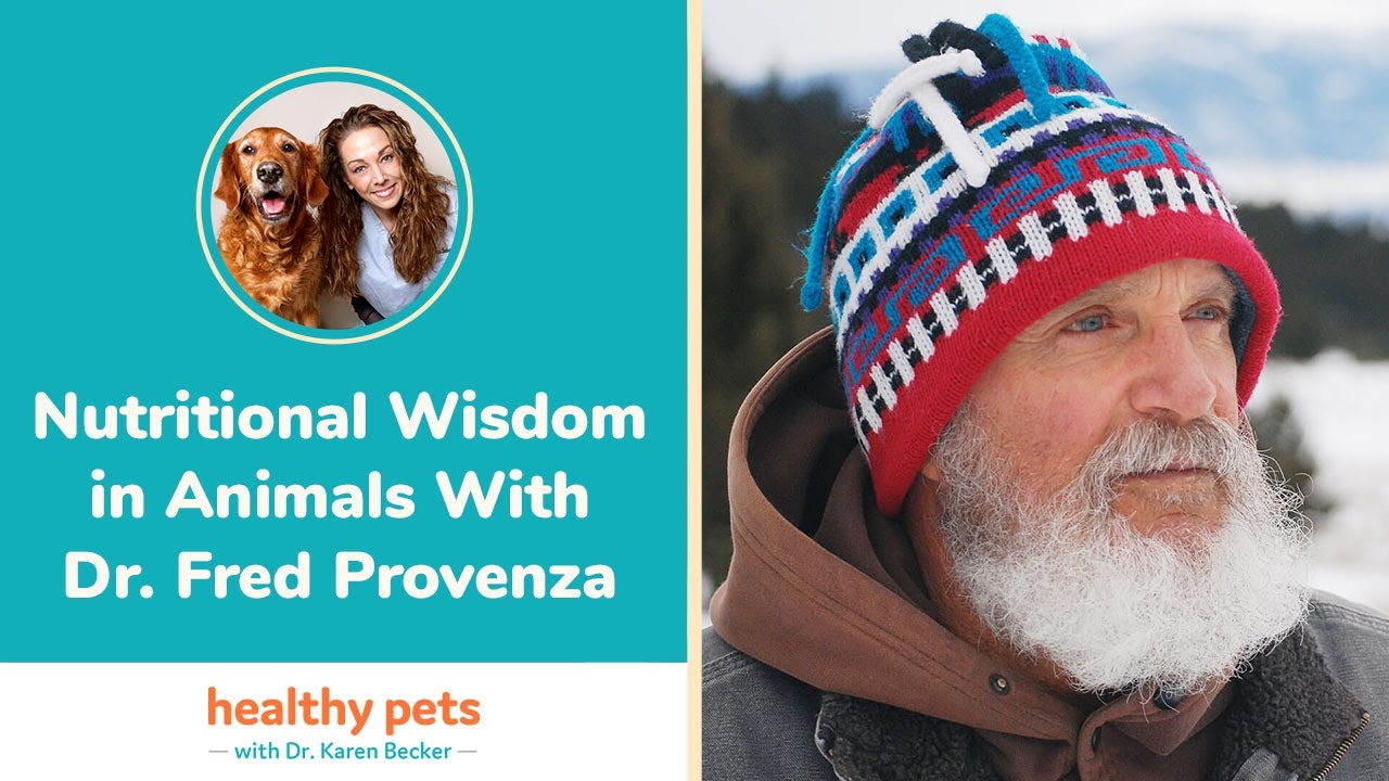 Take Control of Your Pet\'s Health with Dr. Becker