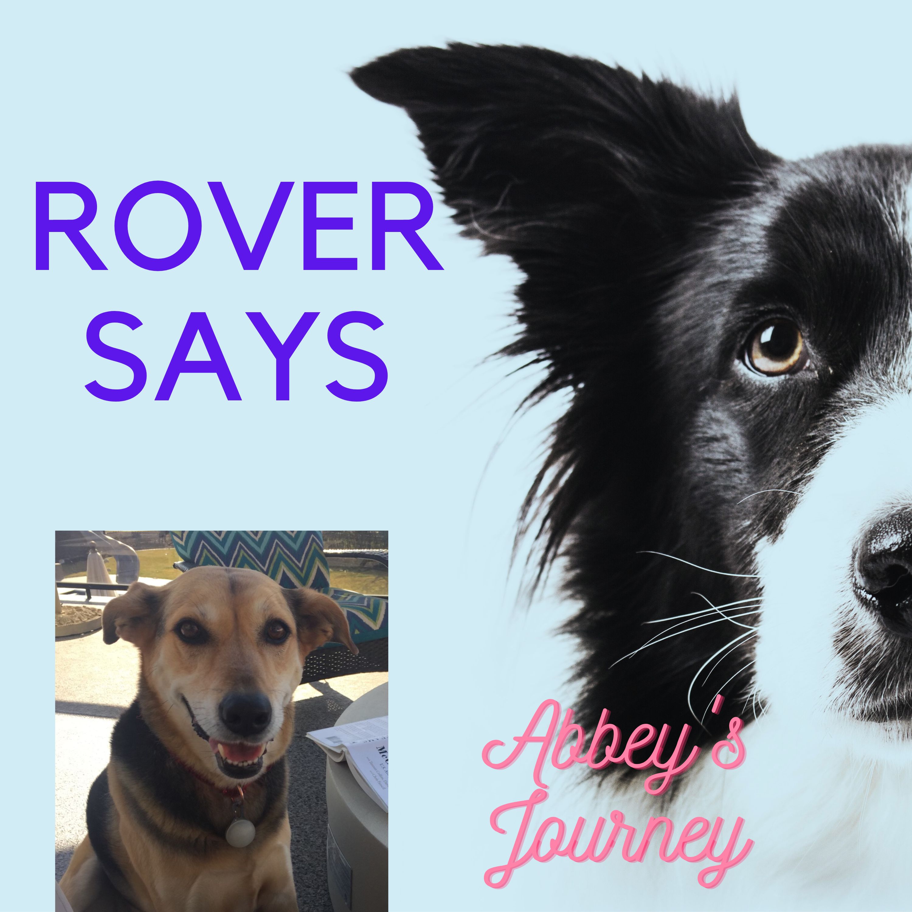 Rover Says