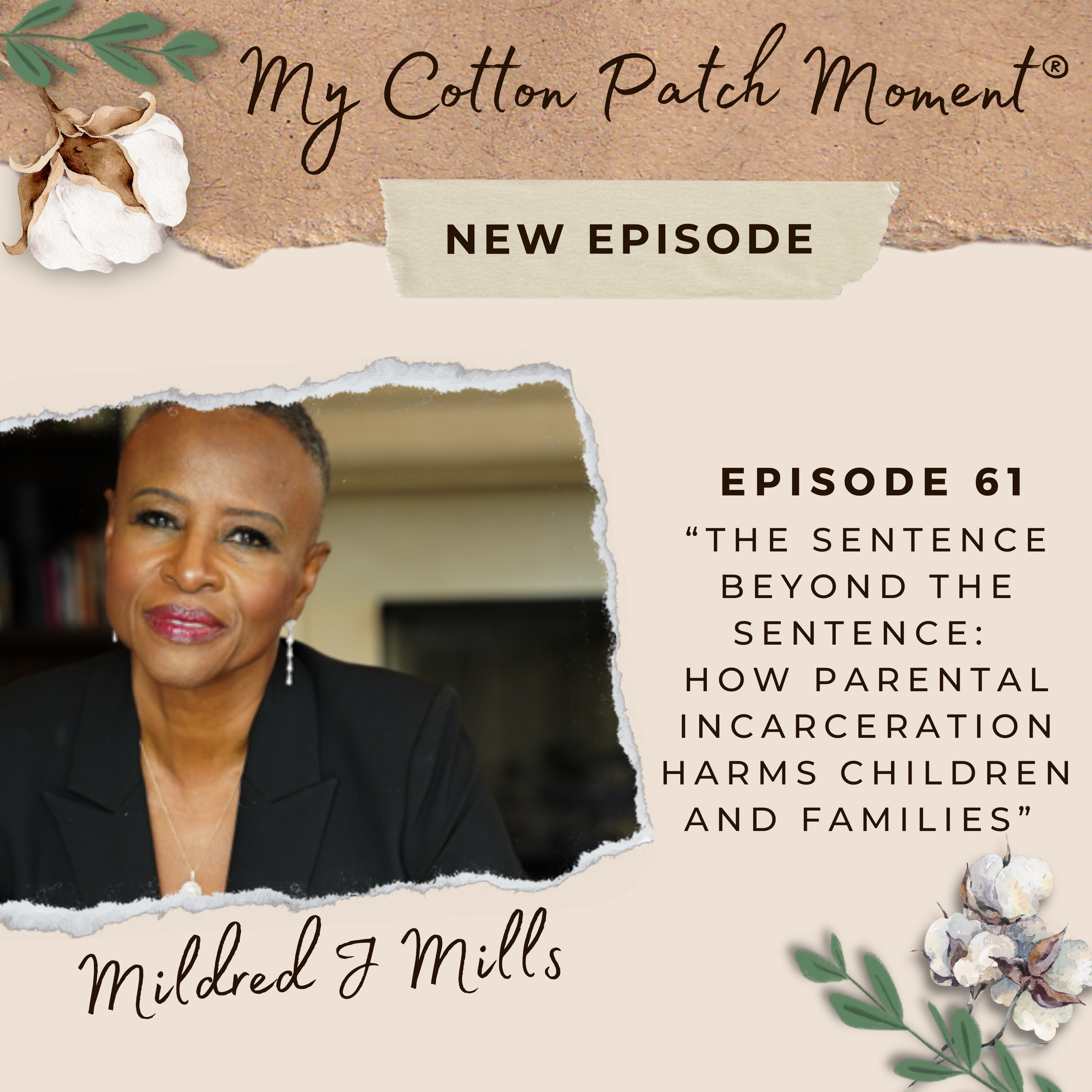 My Cotton Patch Moment