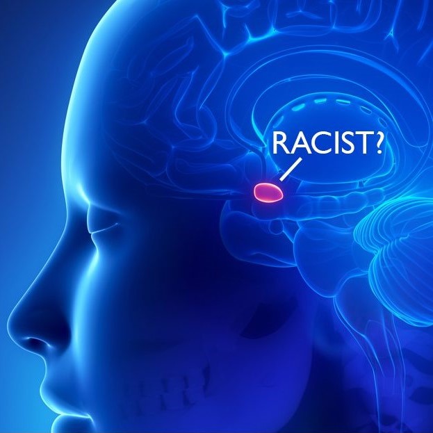 Ep. 12: Neuroscience of Racism