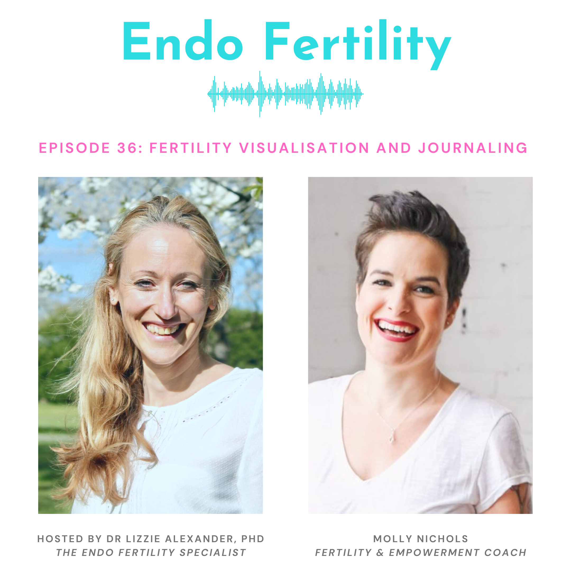 Endo Fertility