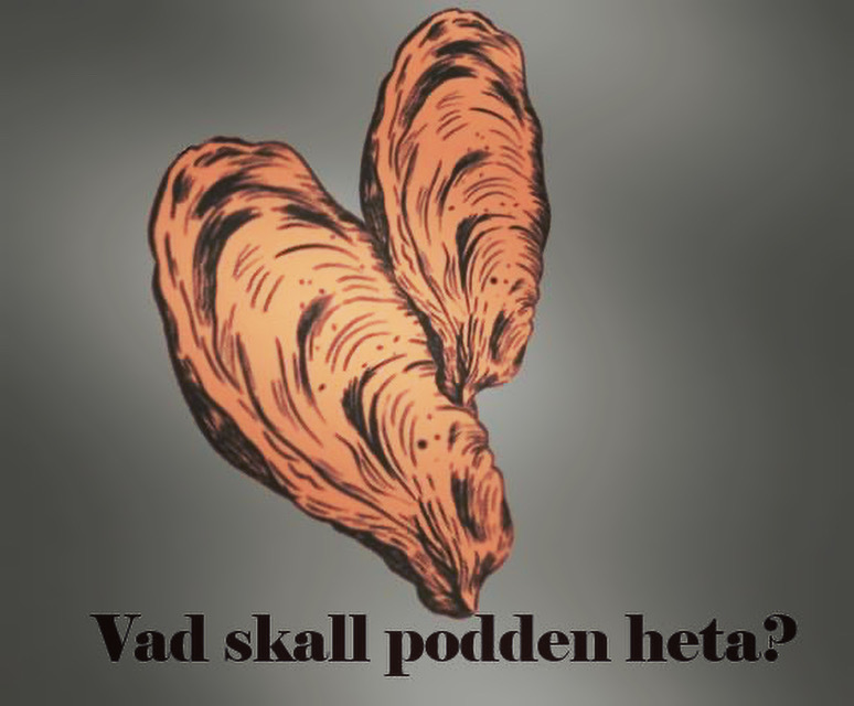 Samtal med GT-festival Sweden generalen Veronica Lindroos