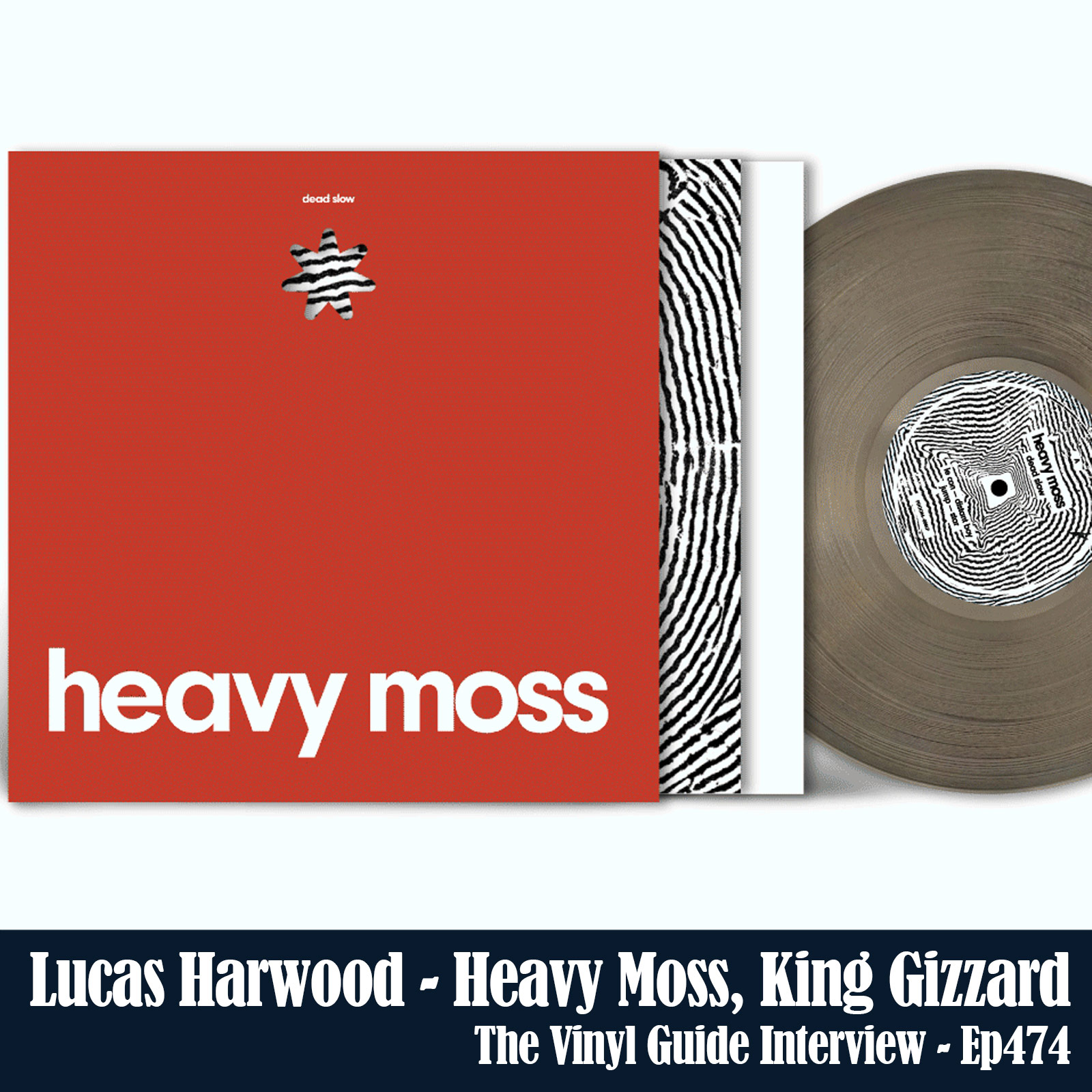 The Vinyl Guide - Artist Interviews for Record Collectors and Music Nerds