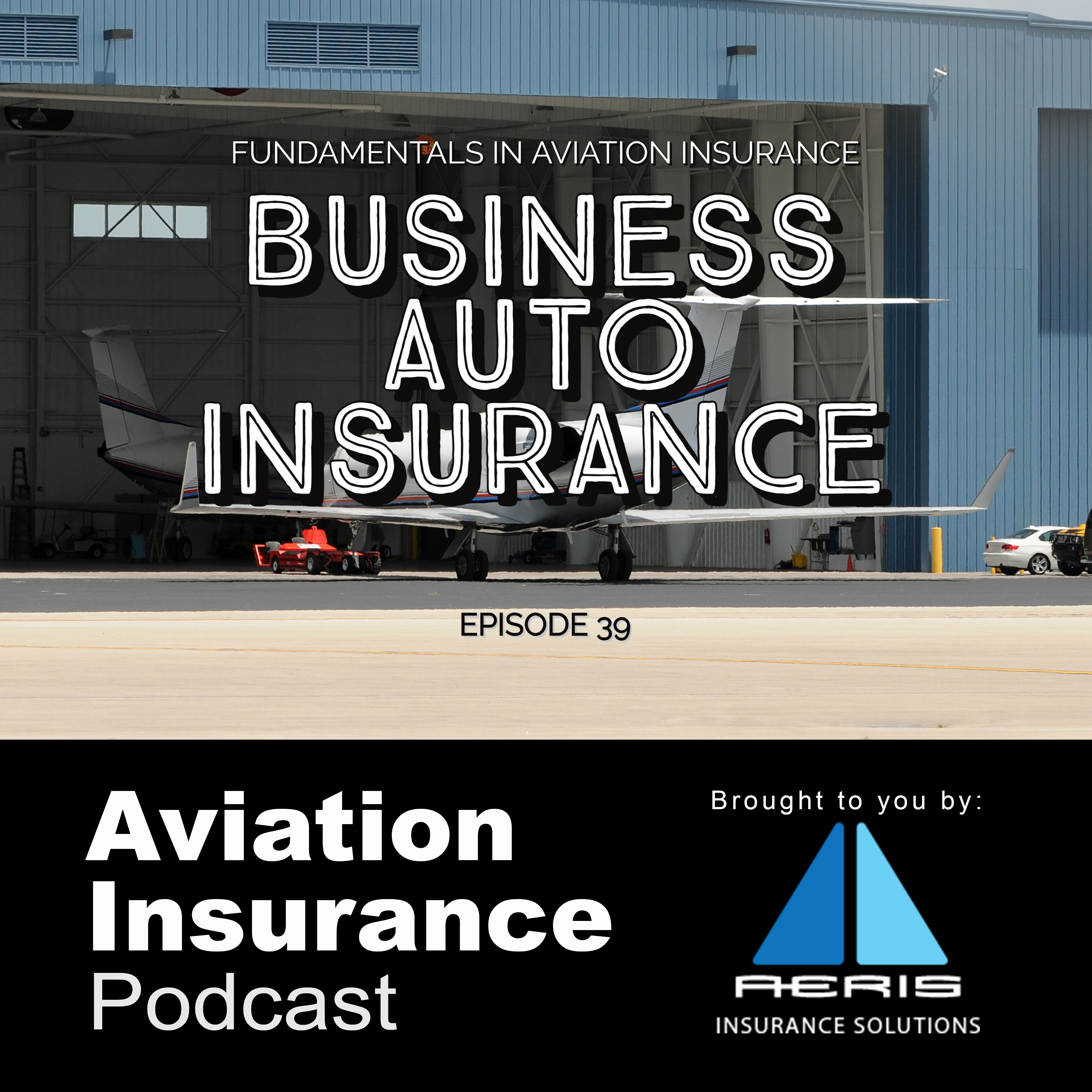 Episode 39: Business Automobile