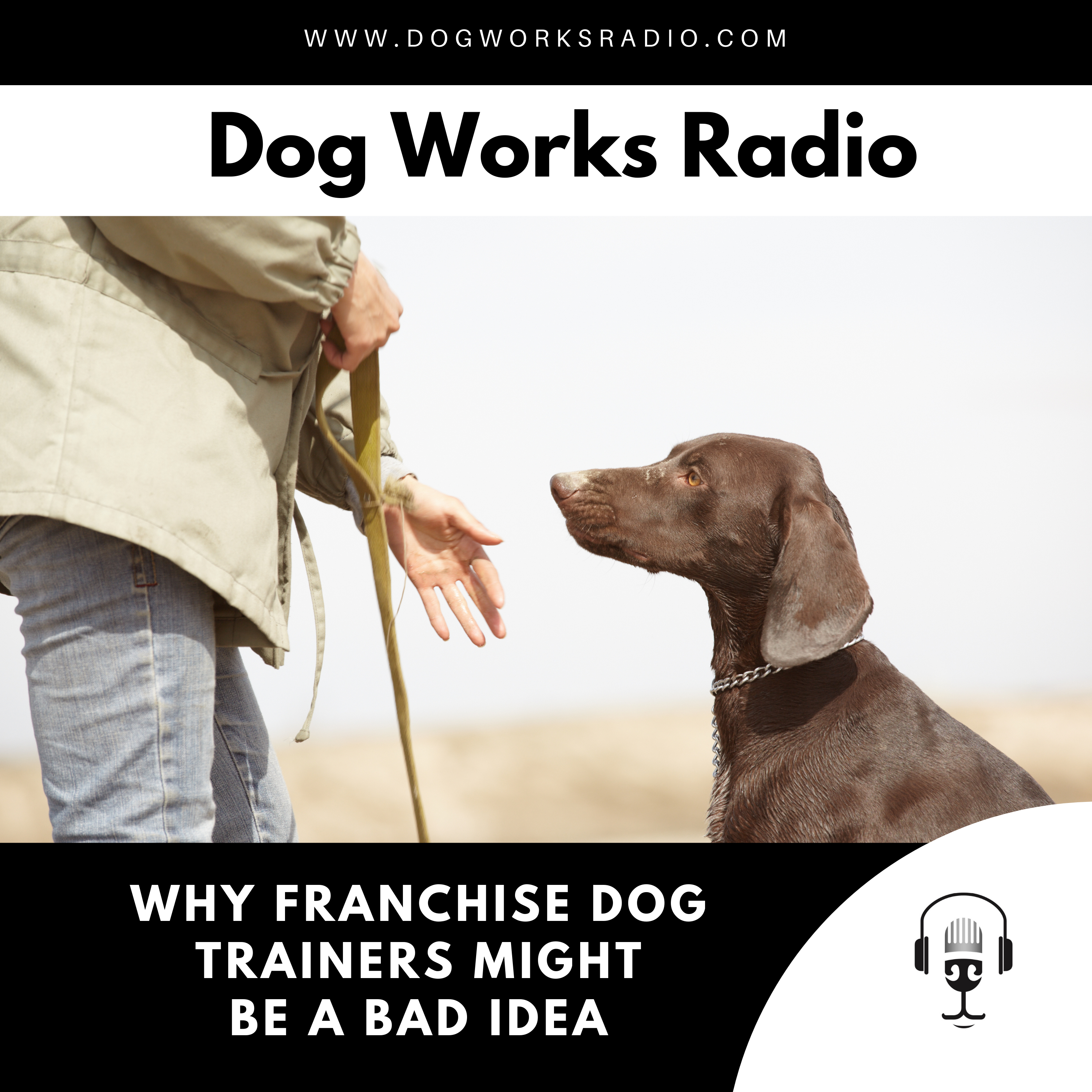 Why Dog Training Franchise Trainers Might be a Bad Idea for Dog Owners