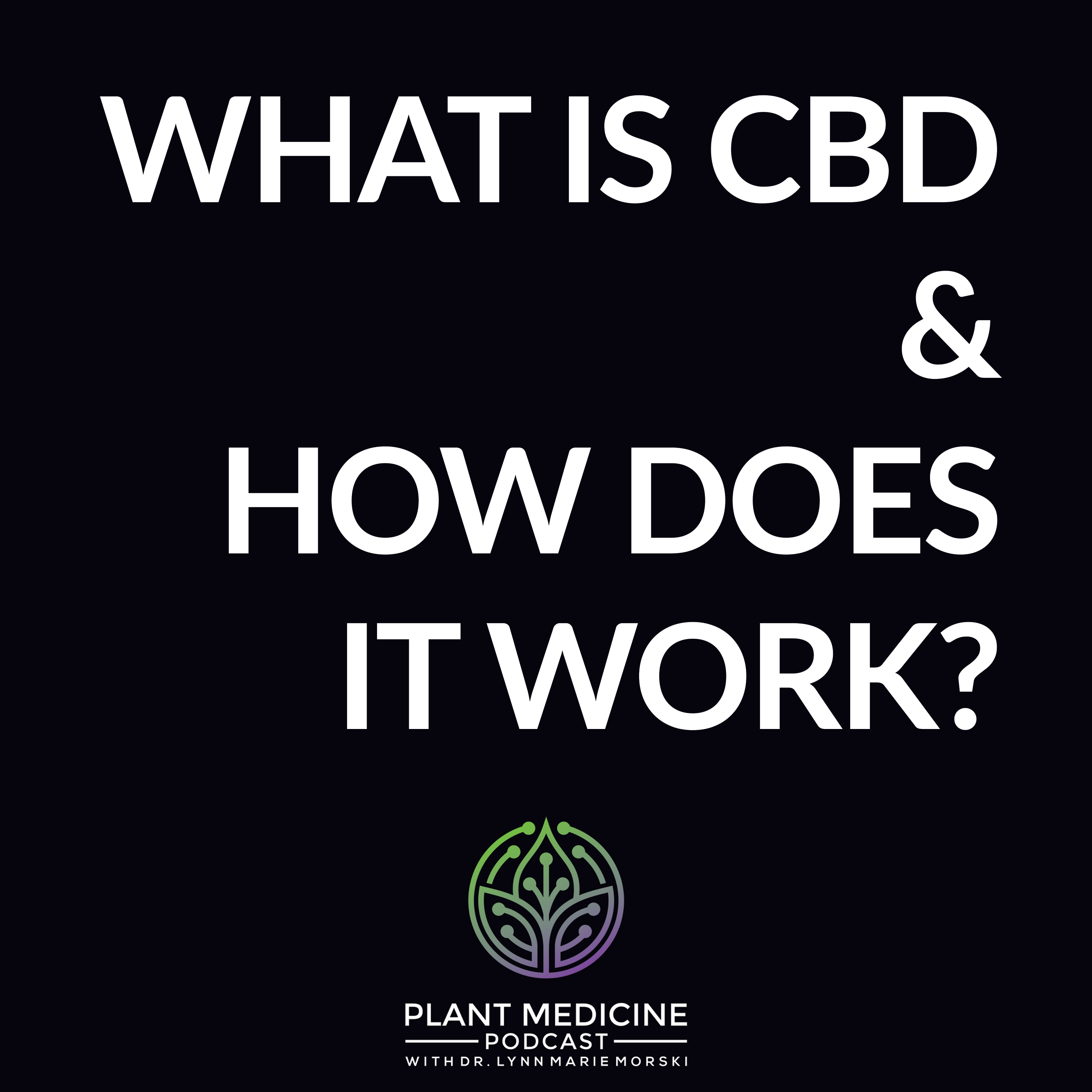 Psychedelic Medicine Podcast with Dr. Lynn Marie Morski