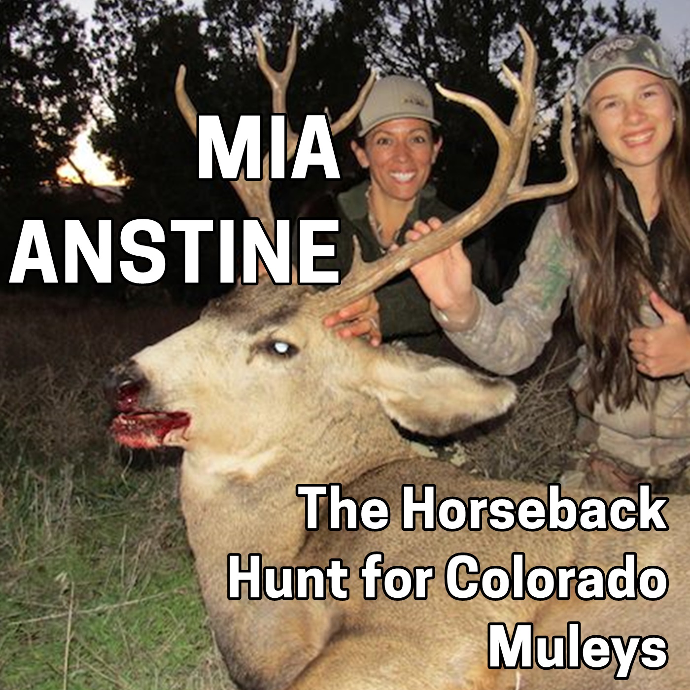 Deer Hunt by Big Buck Registry