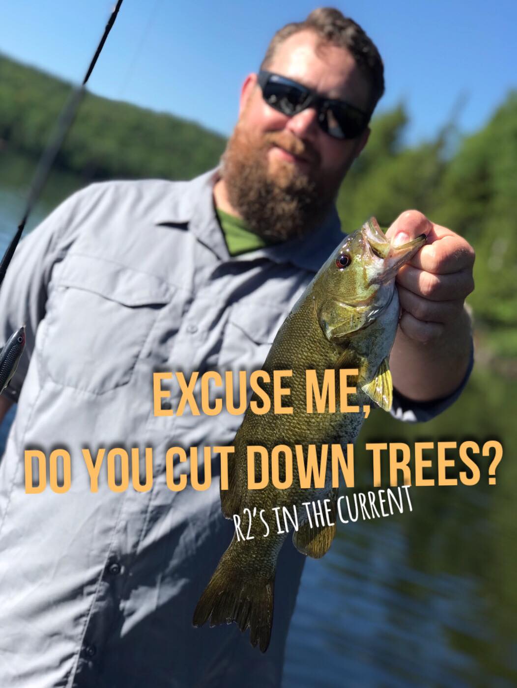 Excuse Me, Do You Cut Down Trees?