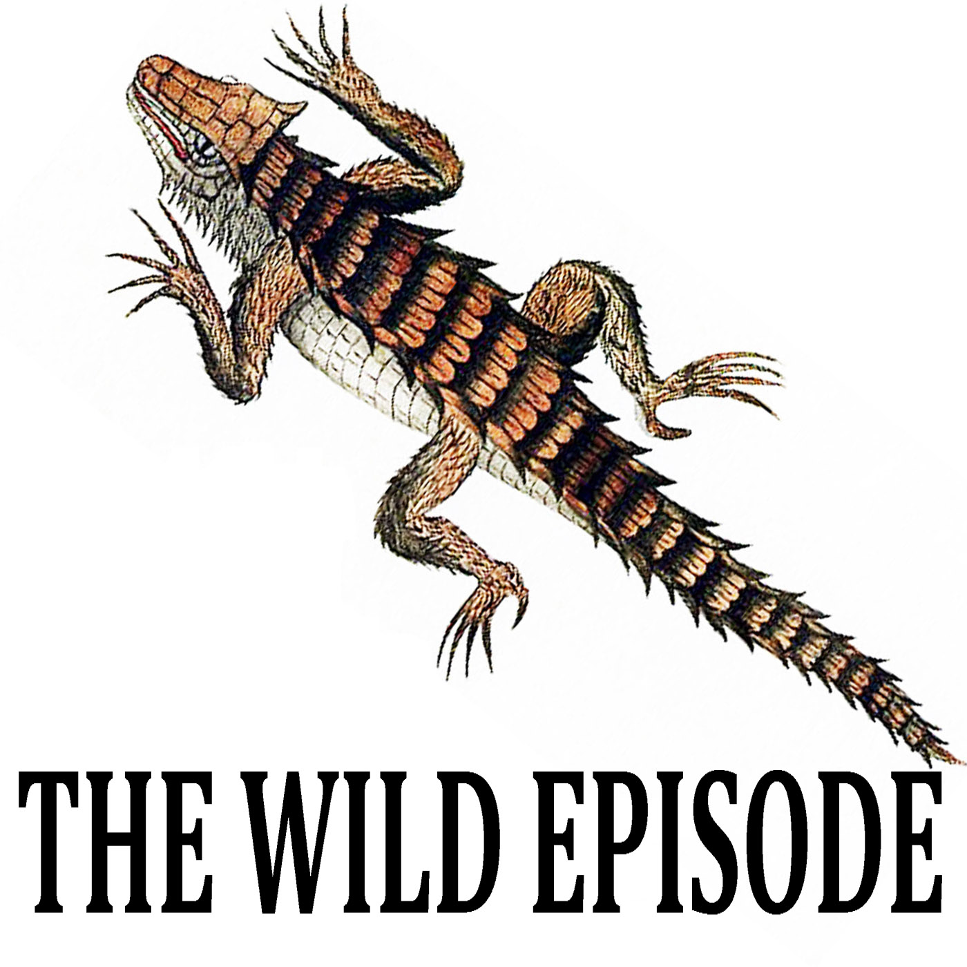 The Wild Episode