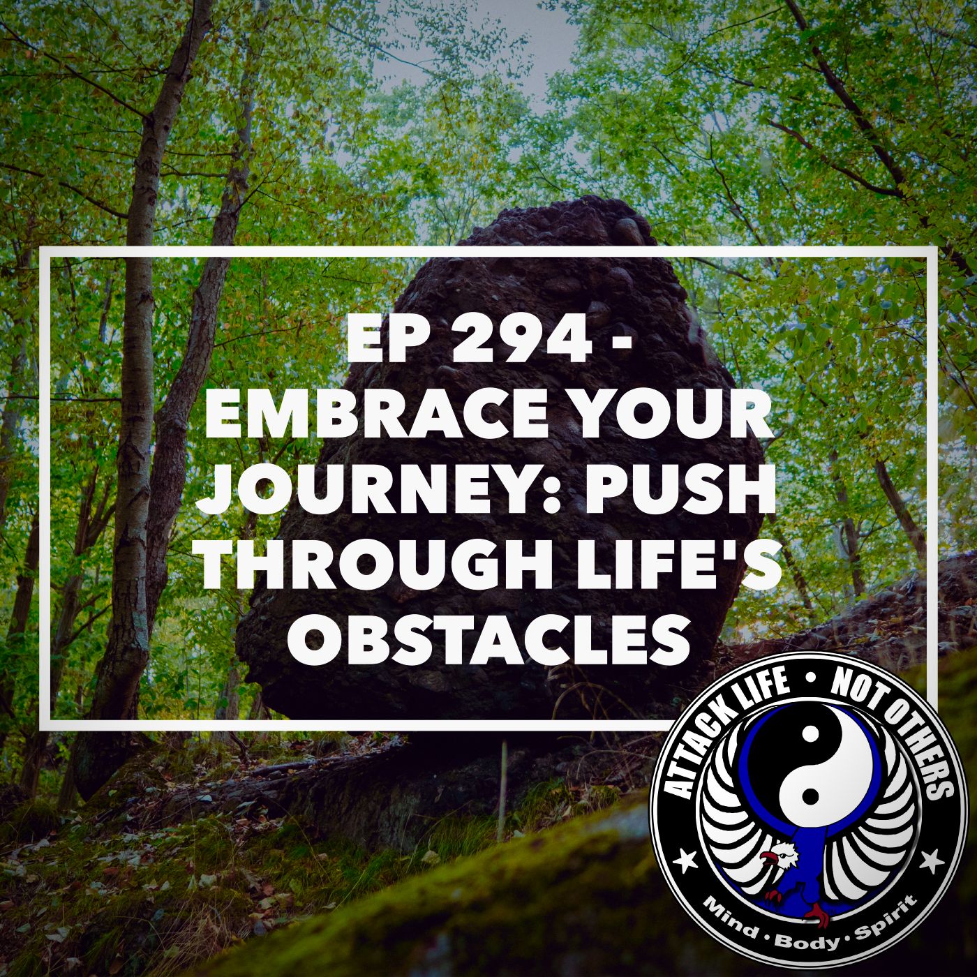 Ep 294 - Embrace Your Journey: Push Through Life's Obstacles