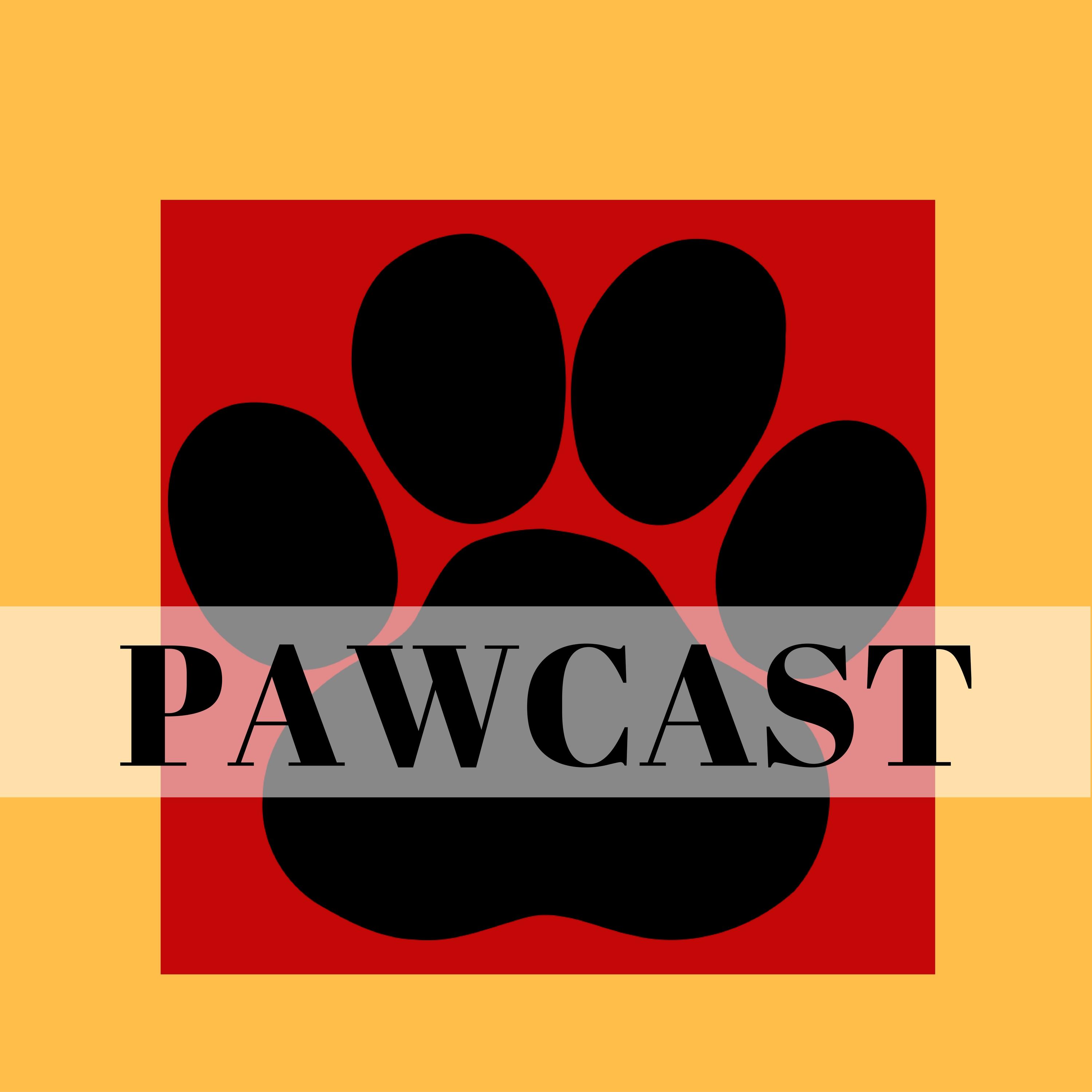 Pawcast 199: January is Foster Month at FOTABR