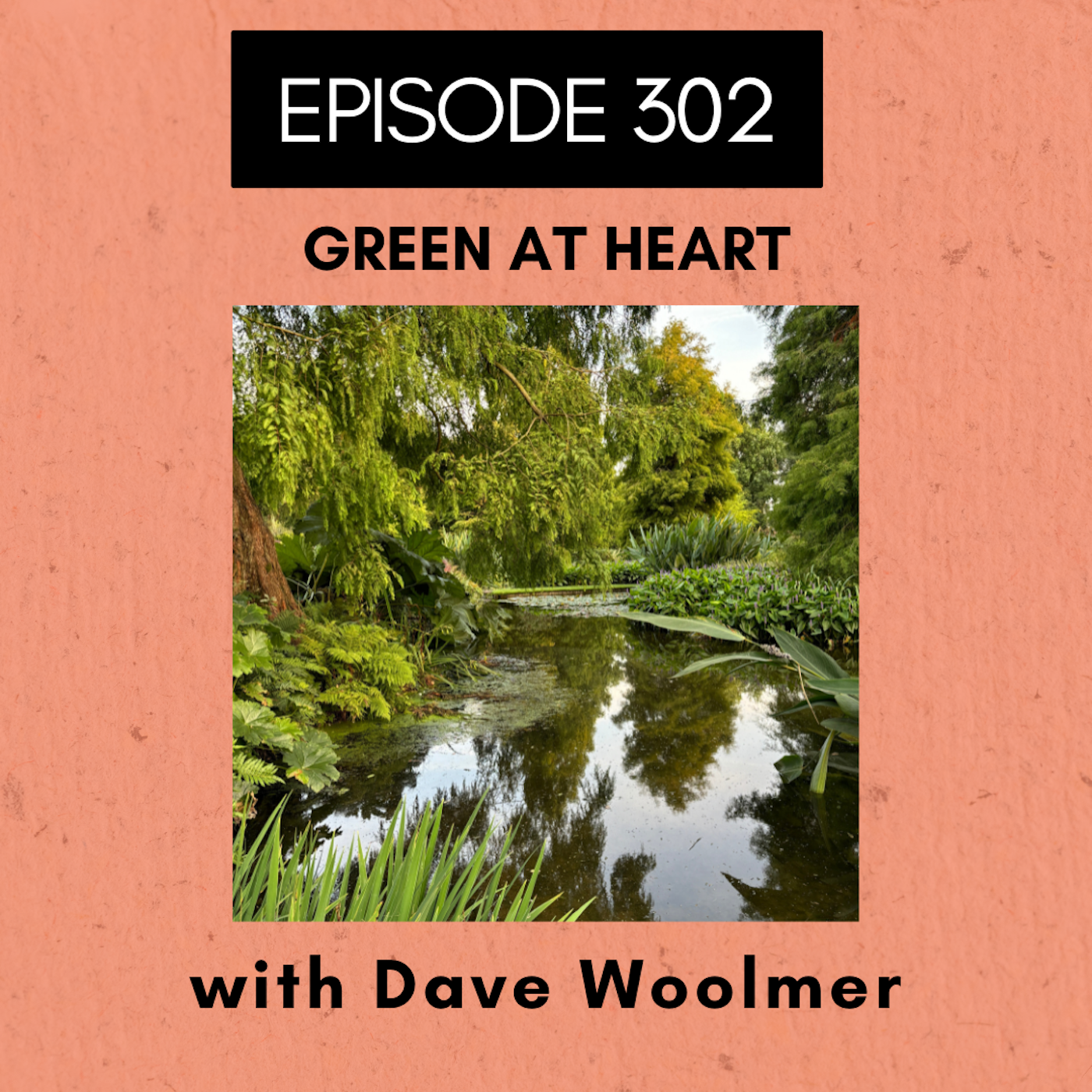 Roots and All - Gardening Podcast