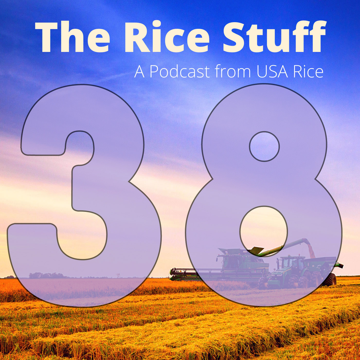 #38 Value of University Extension Programs to the U.S. Rice Industry