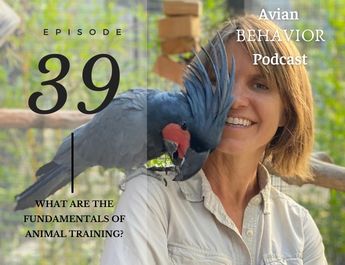 The Avian Behavior Podcast