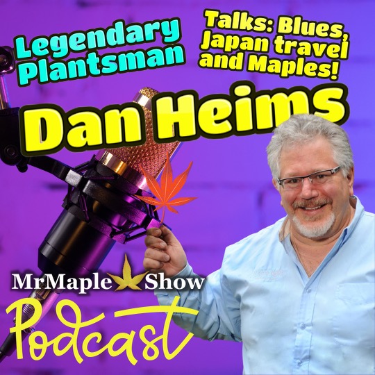 Legendary Plant Expert Dan Heims Talks: International Plant Expeditions & Japanese Maples ! MrMaple Podcast #24